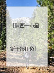 陕西一市最新干部任免
