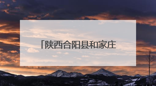 陕西合阳县和家庄镇：“小网格”汇聚“大能量” 激活基层治理新动能