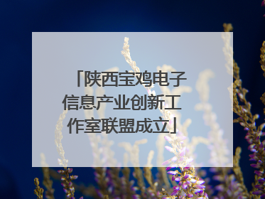 陕西宝鸡电子信息产业创新工作室联盟成立