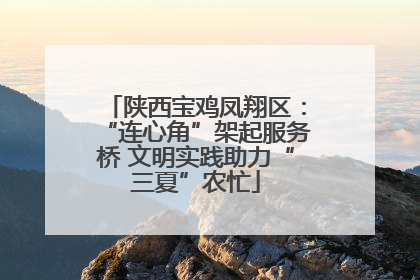 陕西宝鸡凤翔区：“连心角”架起服务桥 文明实践助力“三夏”农忙