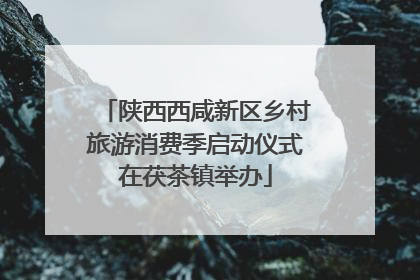 陕西西咸新区乡村旅游消费季启动仪式在茯茶镇举办