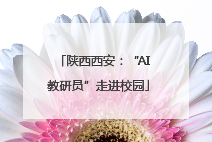 陕西西安：“AI教研员”走进校园