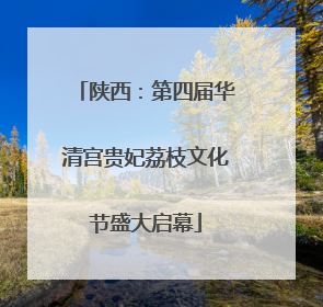陕西：第四届华清宫贵妃荔枝文化节盛大启幕