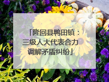 隆回县鸭田镇：三级人大代表合力调解矛盾纠纷
