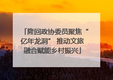 隆回政协委员聚焦“亿年龙洞” 推动文旅融合赋能乡村振兴