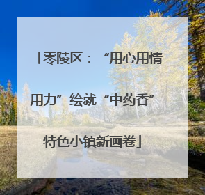 零陵区：“用心用情用力”绘就“中药香”特色小镇新画卷