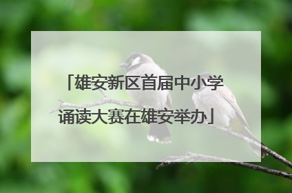 雄安新区首届中小学诵读大赛在雄安举办