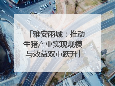 雅安雨城：推动生猪产业实现规模与效益双重跃升