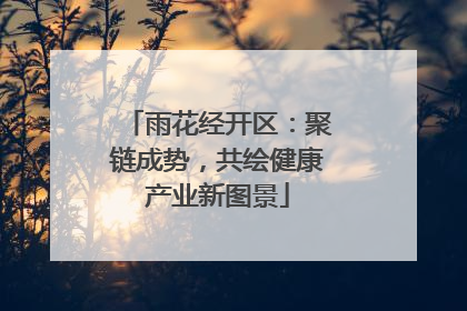 雨花经开区：聚链成势，共绘健康产业新图景