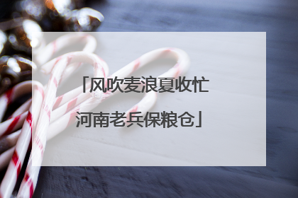 风吹麦浪夏收忙 河南老兵保粮仓