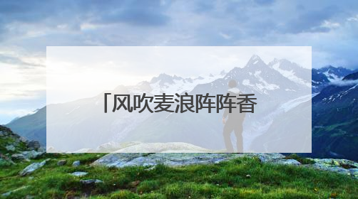 风吹麦浪阵阵香 海安市55万亩小麦陆续开镰