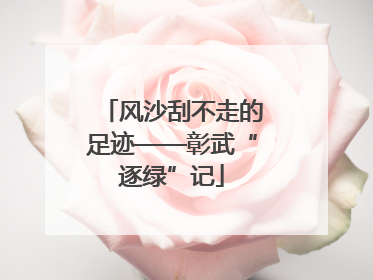 风沙刮不走的足迹——彰武“逐绿”记
