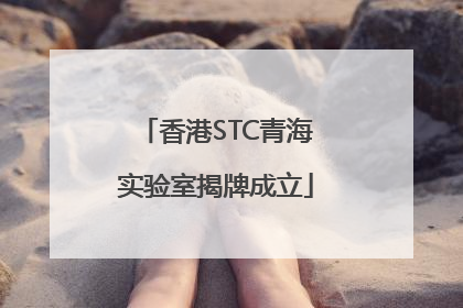 香港STC青海实验室揭牌成立