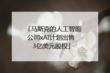 马斯克的人工智能公司xAI计划出售3亿美元股权