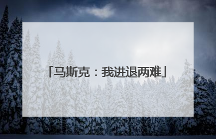 马斯克：我进退两难