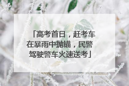 高考首日，赶考车在暴雨中抛锚，民警驾驶警车火速送考