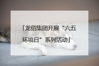 龙佰集团开展“六五环境日”系列活动