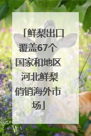 鲜梨出口覆盖67个国家和地区 河北鲜梨俏销海外市场