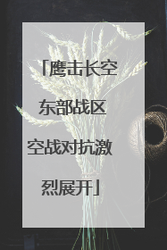 鹰击长空 东部战区空战对抗激烈展开