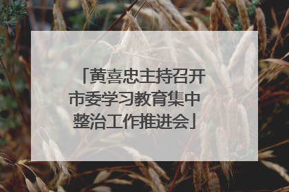 黄喜忠主持召开市委学习教育集中整治工作推进会