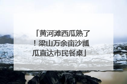 黄河滩西瓜熟了！梁山万余亩沙瓤瓜直达市民餐桌