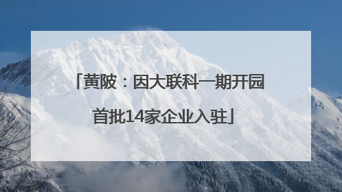 黄陂：因大联科一期开园 首批14家企业入驻