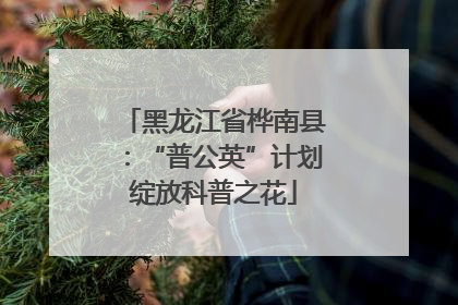 黑龙江省桦南县：“普公英”计划绽放科普之花