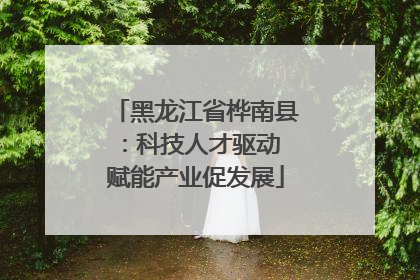 黑龙江省桦南县：科技人才驱动 赋能产业促发展