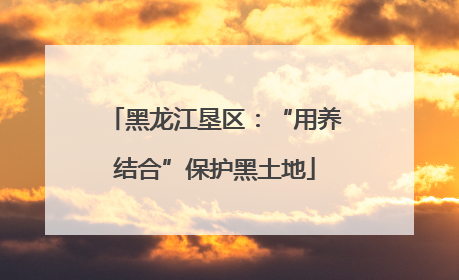 黑龙江垦区：“用养结合”保护黑土地