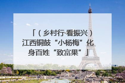 （乡村行·看振兴）江西铜鼓“小杨梅”化身百姓“致富果”