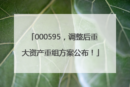 000595，调整后重大资产重组方案公布！