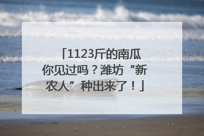 1123斤的南瓜你见过吗？潍坊“新农人”种出来了！