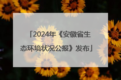 2024年《安徽省生态环境状况公报》发布