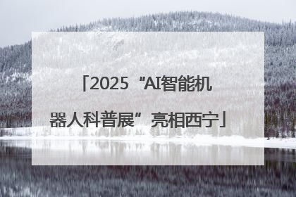 2025“AI智能机器人科普展”亮相西宁