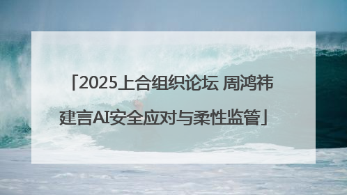 2025上合组织论坛 周鸿祎建言AI安全应对与柔性监管