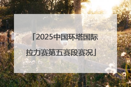 2025中国环塔国际拉力赛第五赛段赛况