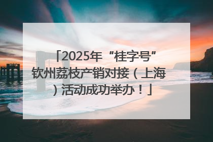2025年“桂字号”钦州荔枝产销对接（上海）活动成功举办！