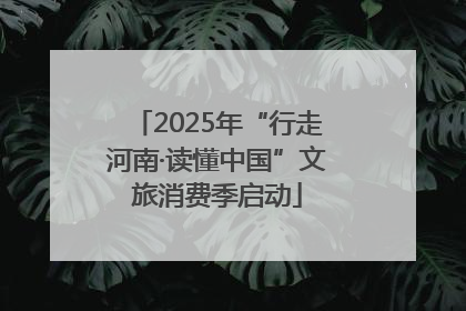 2025年“行走河南·读懂中国”文旅消费季启动