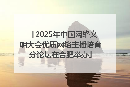 2025年中国网络文明大会优质网络主播培育分论坛在合肥举办