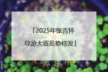 2025年张吉怀导游大赛蓄势待发