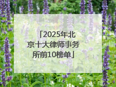 2025年北京十大律师事务所前10榜单