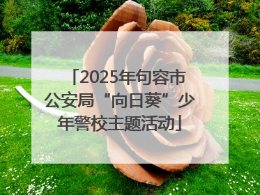 2025年句容市公安局“向日葵”少年警校主题活动