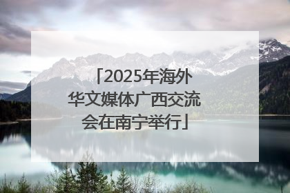 2025年海外华文媒体广西交流会在南宁举行