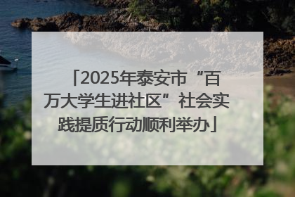 2025年泰安市“百万大学生进社区”社会实践提质行动顺利举办