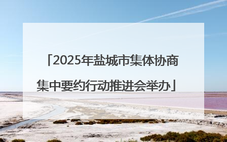 2025年盐城市集体协商集中要约行动推进会举办