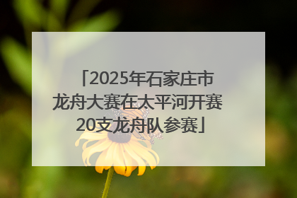 2025年石家庄市龙舟大赛在太平河开赛 20支龙舟队参赛