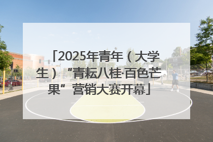 2025年青年（大学生）“青耘八桂·百色芒果”营销大赛开幕