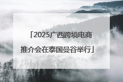 2025广西跨境电商推介会在泰国曼谷举行