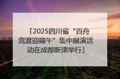 2025四川省“百舟竞渡迎端午”集中展演活动在成都新津举行
