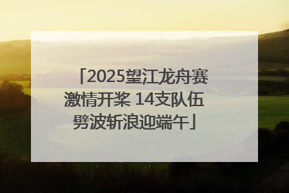 2025望江龙舟赛激情开桨 14支队伍劈波斩浪迎端午